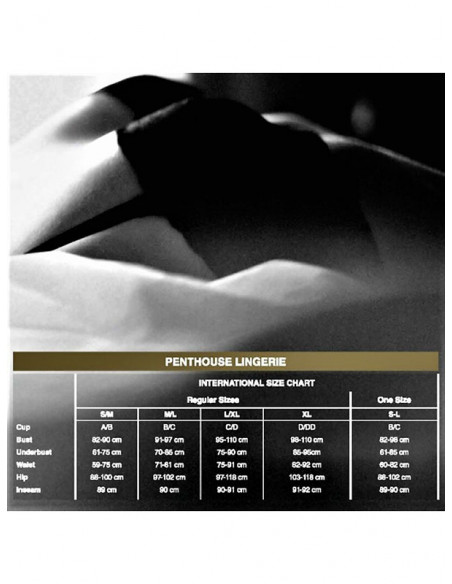 Penthouse Hot Getaway open thong - PH-TH04