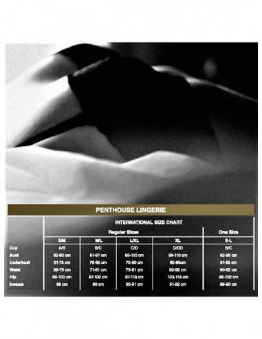 Penthouse Hot Getaway open thong - PH-TH04