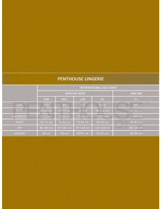 Penthouse - Midnight Mirage Peignoir - PH-PG02-00 2