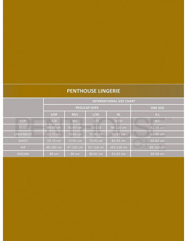 Penthouse Hypnotic Power Baby Doll - PH-BD01-01
